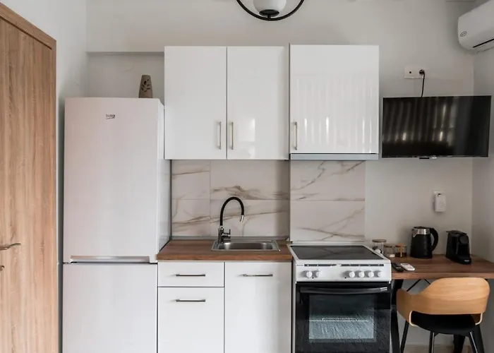 Diogenous